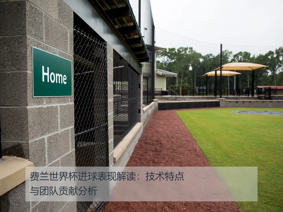 费兰世界杯进球表现解读：技术特点与团队贡献分析